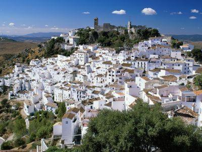 Casares Appart 2 Ch Dans Parc Tropical Avec Vue Sur Mer, Montagne Et Piscine Apartamento Exterior foto